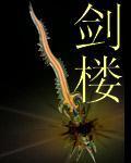剑楼12
