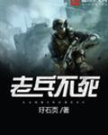 老兵不死苏丹的游戏