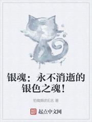 银魂永不消逝的银色之魂!TXT