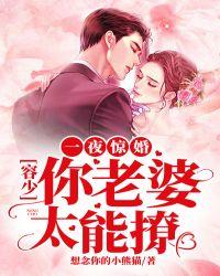 一夜婚宠薄少的