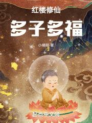 红楼修真文