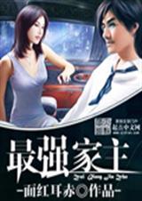 最强家主系统许安