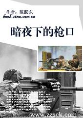 夜幕下的枪声案件
