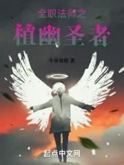 全职法师之忧雪