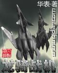 龙骑战机写了什么