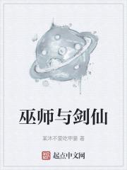 巫师与法师