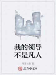 我的领导们