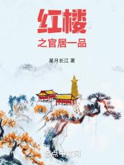 红楼之官家夫人