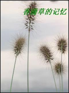 香蒲草吃法