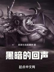 黑暗回声by青藤阅读