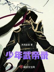 少年武宗中的练武方法