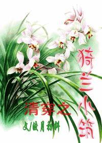 清穿之殊兰全文