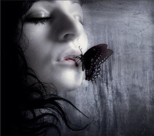 蝴蝶和魅影哪个好