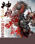 神魂召唤师 极品石头