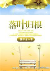 落叶归根歌词完整版