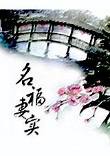 名福妻实全文免费