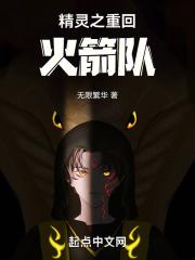 精灵加入火箭队的我想改变世界