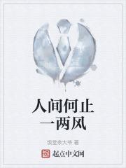 只待一隅清欢的意思