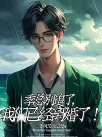 季总别追了我们已经离婚了TXT