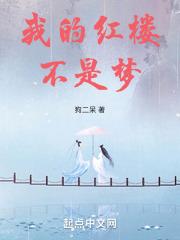 读红楼不是梦