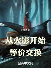 从火影选择开始