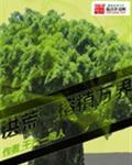洪荒之榕植万界88