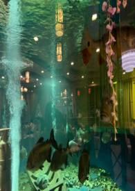 蜘蛛与网的作者