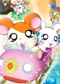 小松鼠奇遇记作文400字