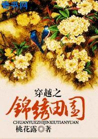 穿越锦绣田园作者桃花露