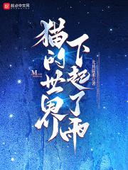 猫的世界下起了雨结局