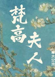 梵高夫人免费阅读全文