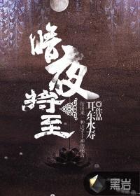 暗夜将至的沈辣实力