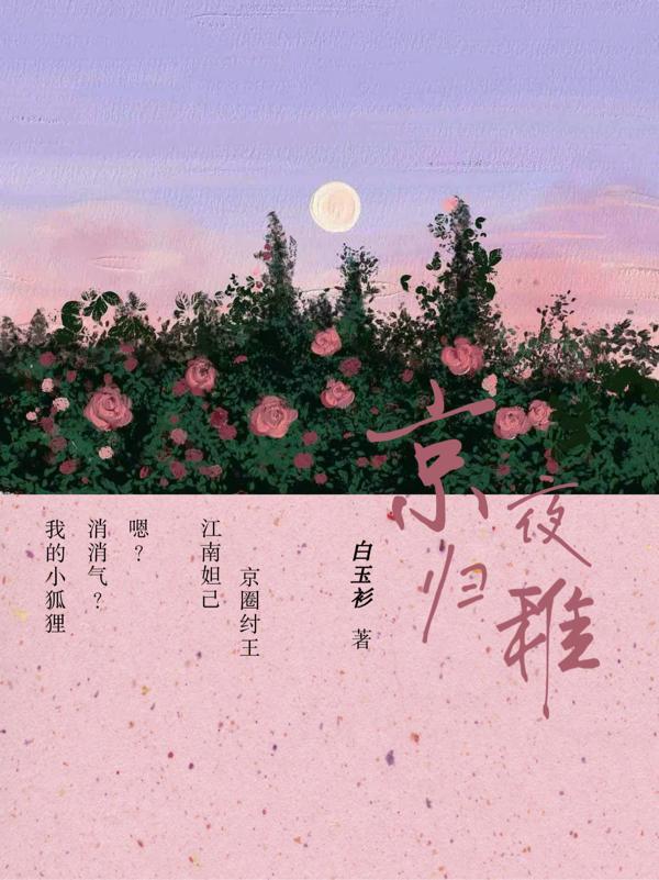 京夜归稚txt百度资源