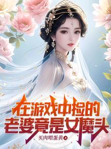 在游戏中捡的老婆竟是女魔头的等级