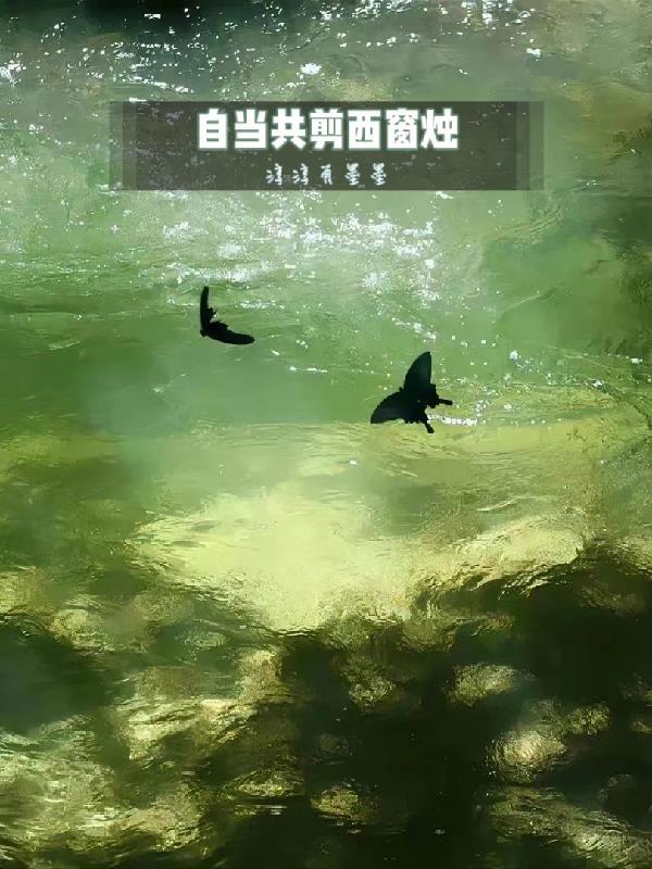 何当共剪西窗烛打三个数字