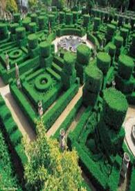 迷宫之谜解锁机器人