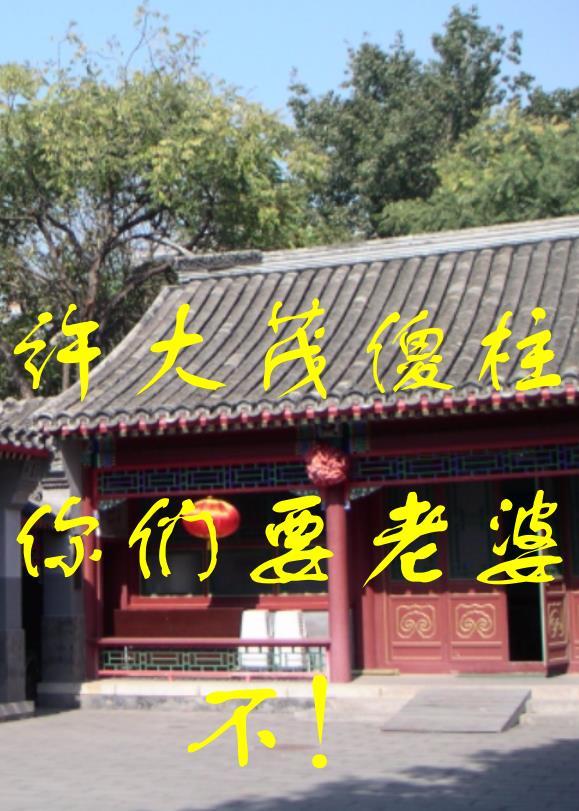 四合院之许大茂精彩人生