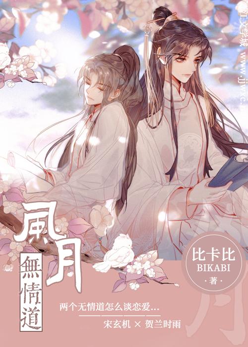 风月无情道by比尔比讲的什么