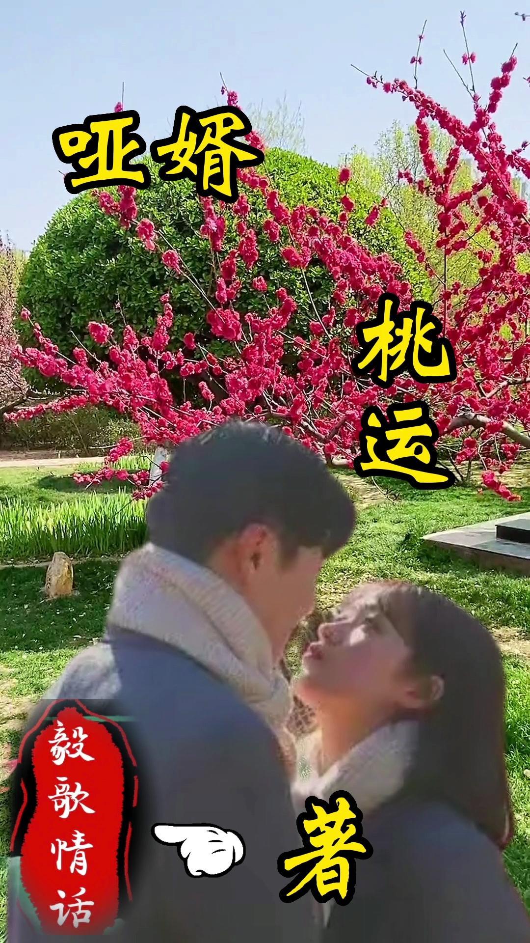 哑巴女婿完整版