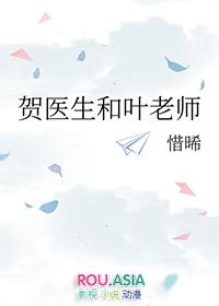 贺医生和叶老师by