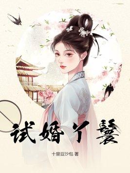 试婚丫鬟by茄子苏小小