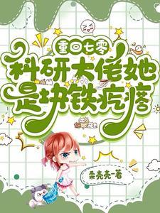 重生七零后我成了科技大佬 玄骨