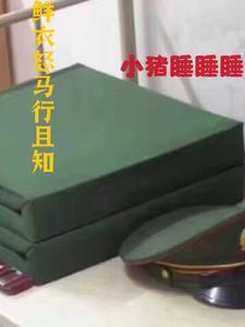 鲜衣怒马是啥意思