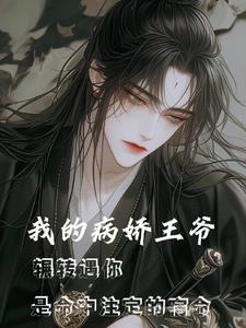 我的病娇王爷视频