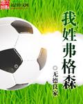 弗格森风格