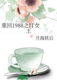 重回1988之it女王无防盗