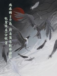 流浪骑士化哥