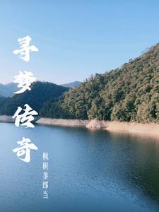 寻梦传媒怎么样