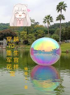 重生七十年代军长强势宠免费阅读