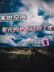零元购是什么歌